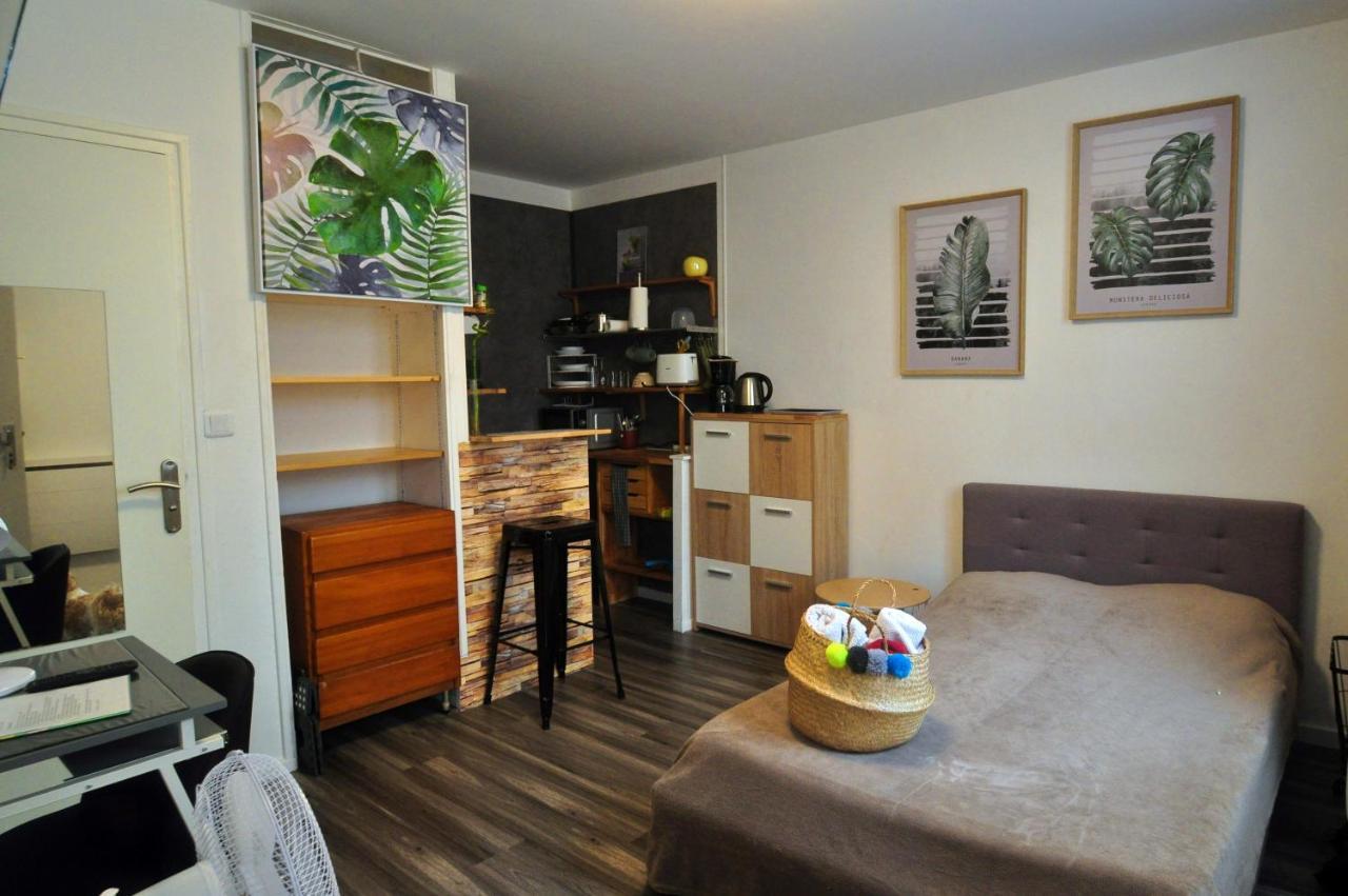 Beaublache Residence Studios Meubles グルノーブル エクステリア 写真