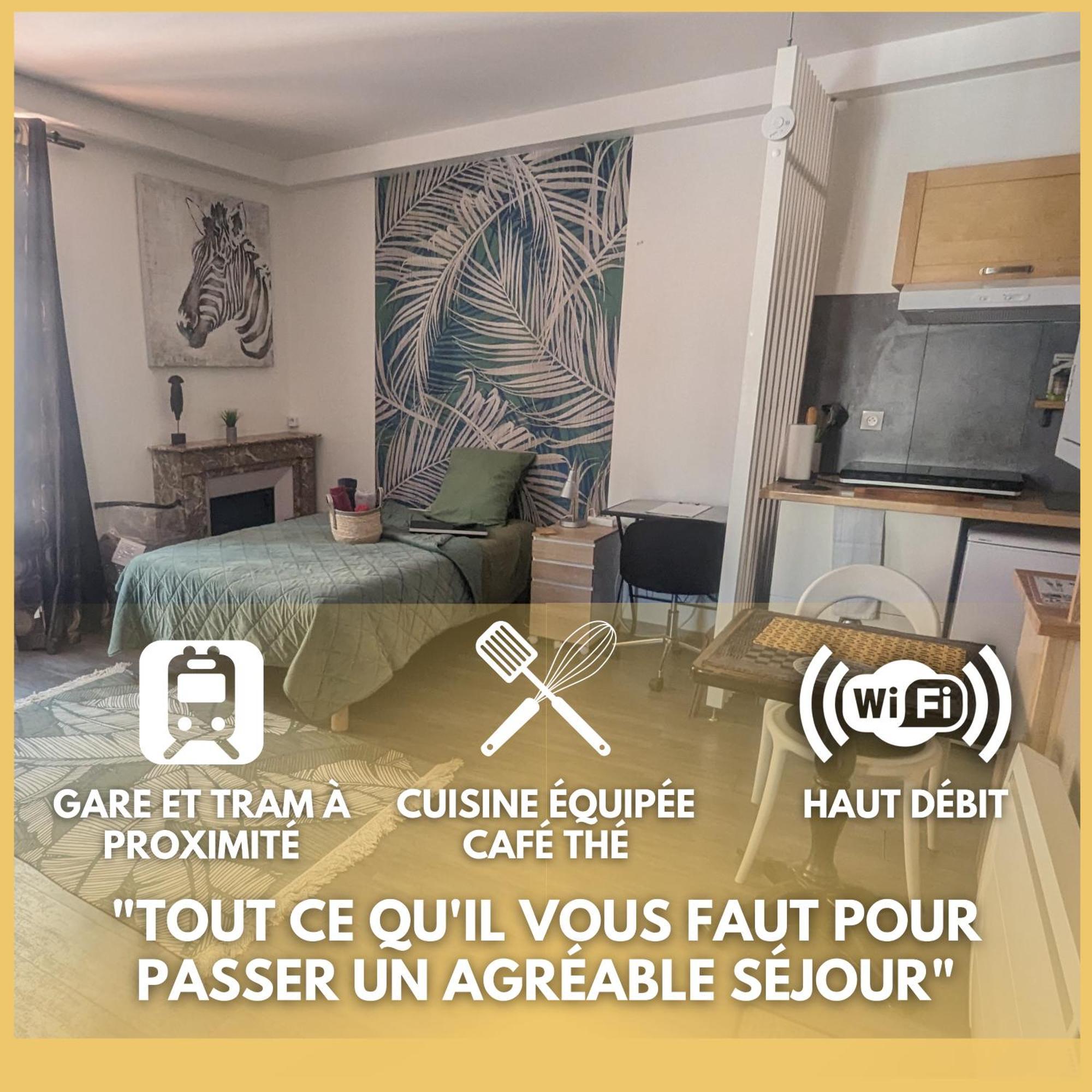 Beaublache Residence Studios Meubles グルノーブル エクステリア 写真